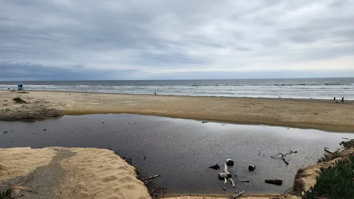 North Beach Campground Picture 2