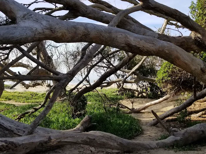 North Beach Campground Picture 5