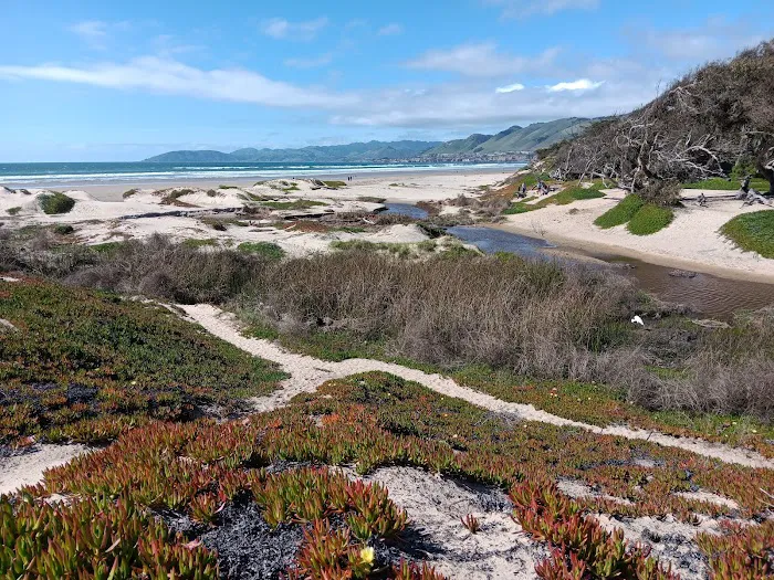 North Beach Campground Picture 6