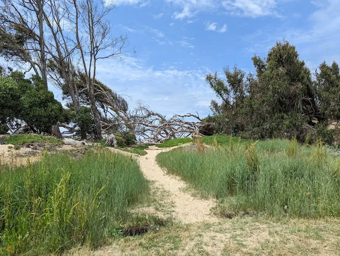 North Beach Campground Picture 10