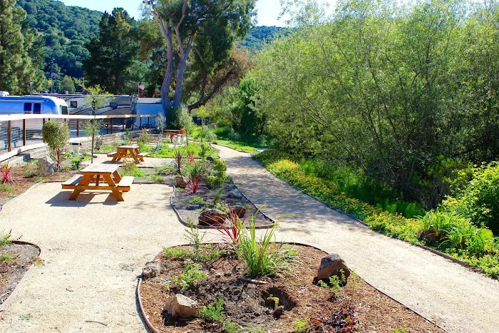 Avila Pismo RV Resort & Campground Picture 8