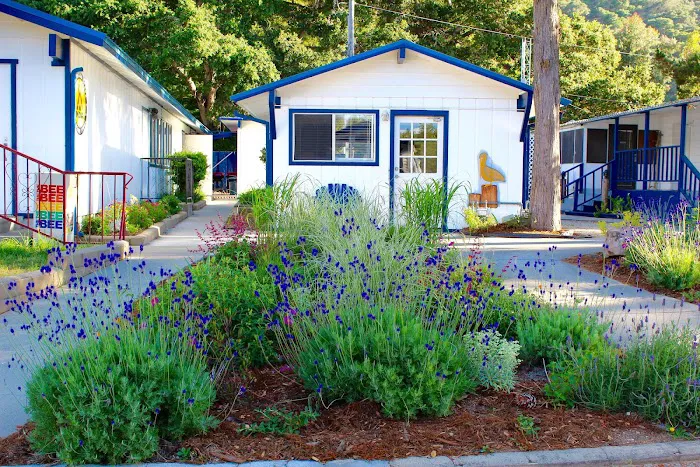 Avila Pismo RV Resort & Campground Picture 7