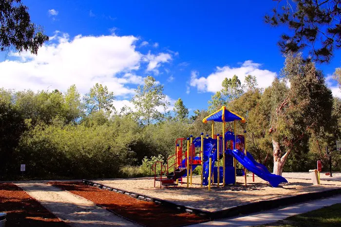 Avila Pismo RV Resort & Campground Picture 9