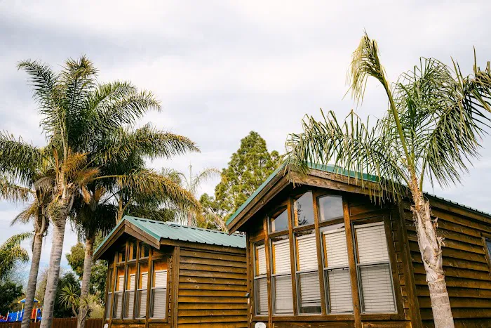 Avila Pismo RV Resort & Campground Picture 6