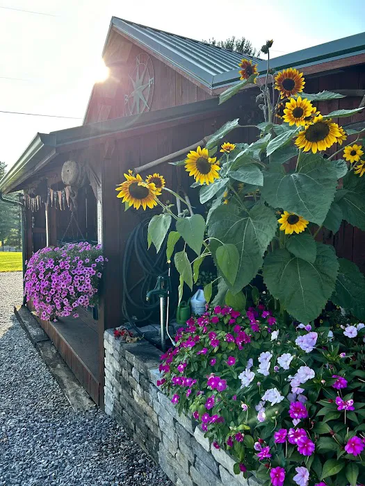 Country Side RV Park & campground TN Picture 6