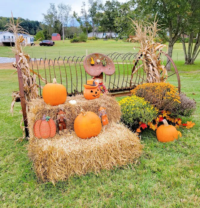 Country Side RV Park & campground TN Picture 10