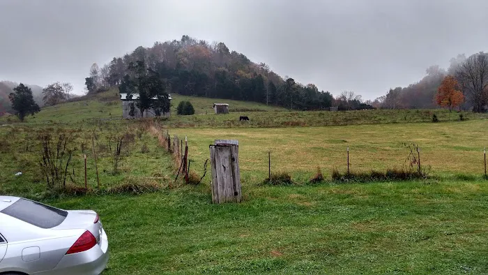 The Meadows Picture 1