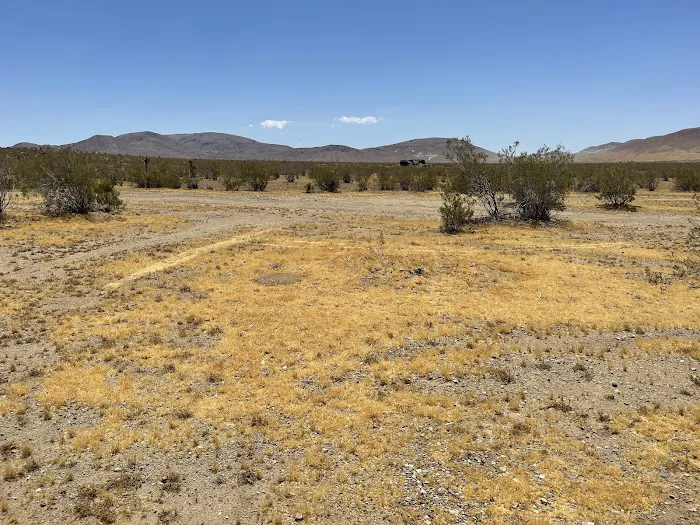 VVGMC Tailgate Picture 8