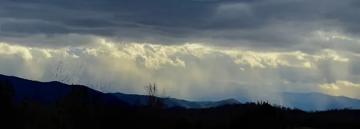 Evergreens RV Park Picture 1