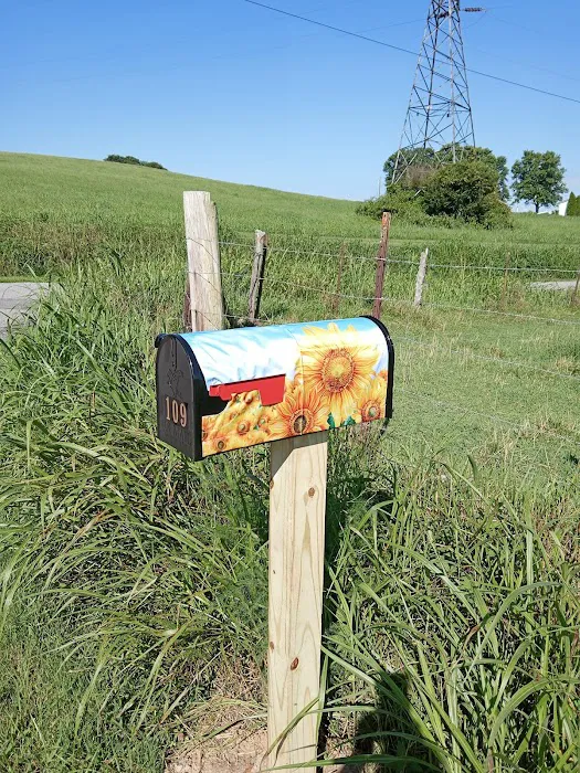 Evergreens RV Park Picture 8