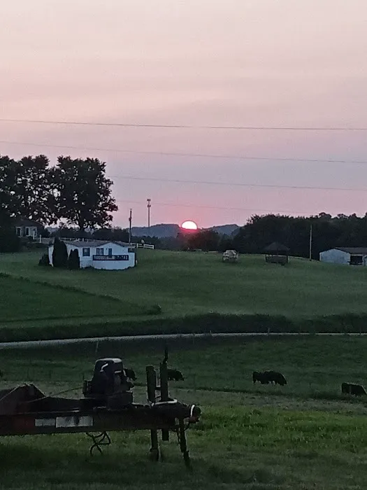 Evergreens RV Park Picture 6