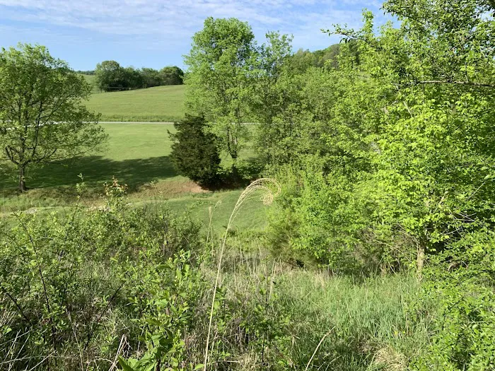 Evergreens RV Park Picture 9