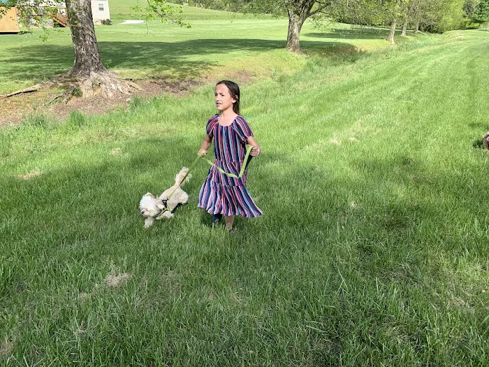 Evergreens RV Park Picture 5