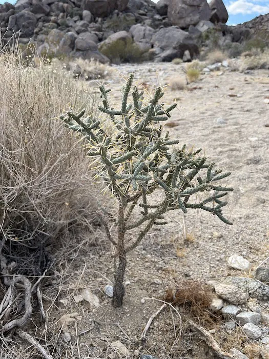 White Tank Campground Picture 5