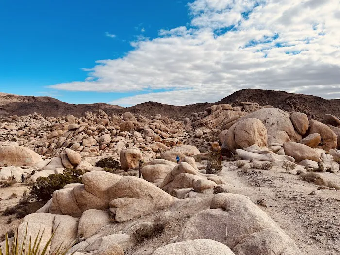 White Tank Campground Picture 2