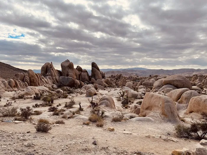 White Tank Campground Picture 3