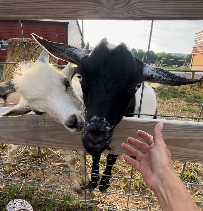 Mammoth Ridge RV Park and Campground Picture 2