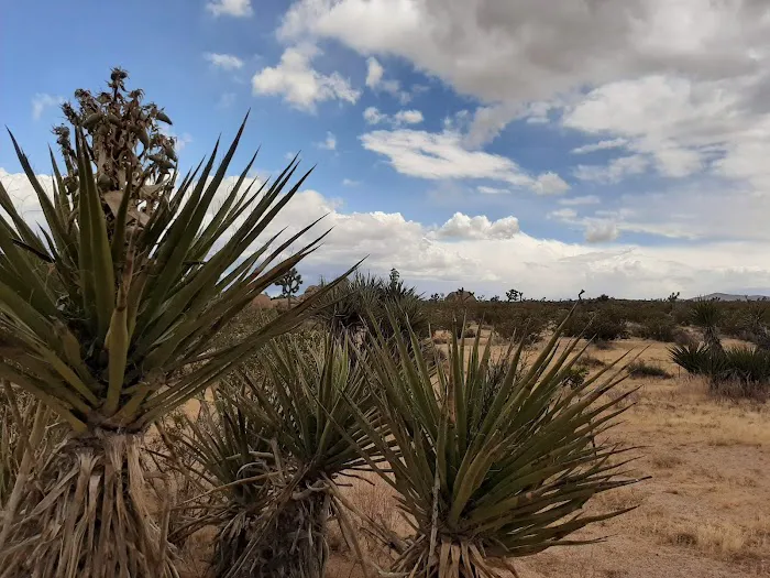 Belle Campground Picture 1