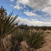 Belle Campground ico