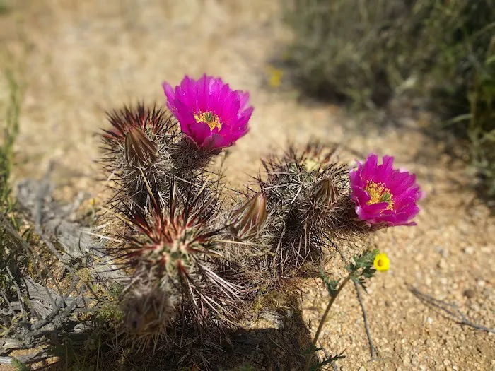 Belle Campground Picture 10