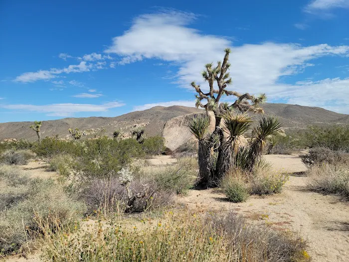 Belle Campground Picture 8