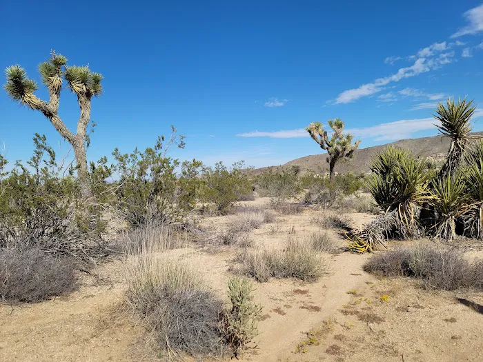 Belle Campground Picture 9