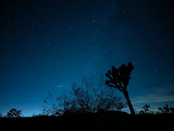 Belle Campground Picture 4