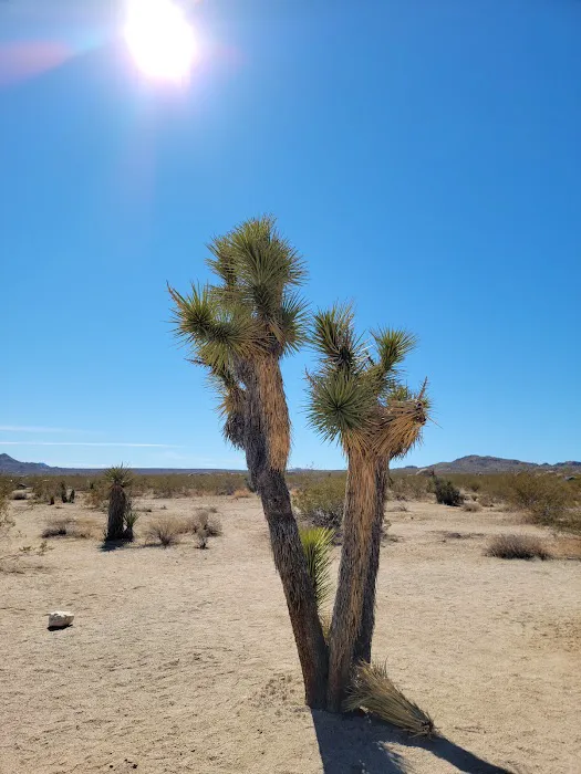 White Tank Campground Picture 3