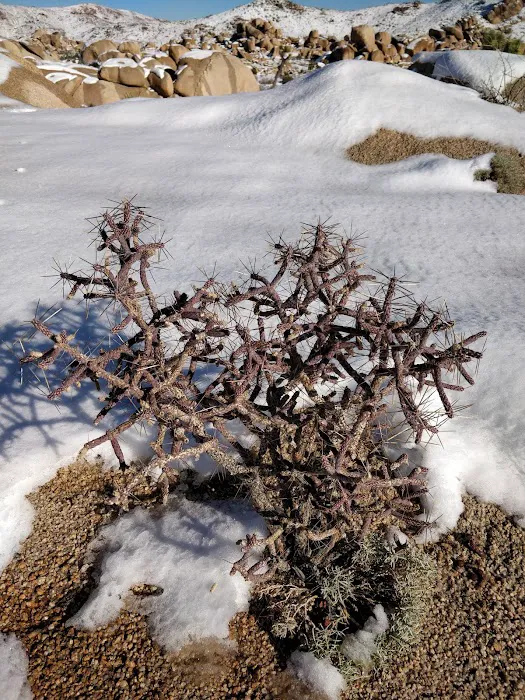 White Tank Campground Picture 1