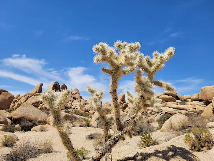 White Tank Campground Picture 8