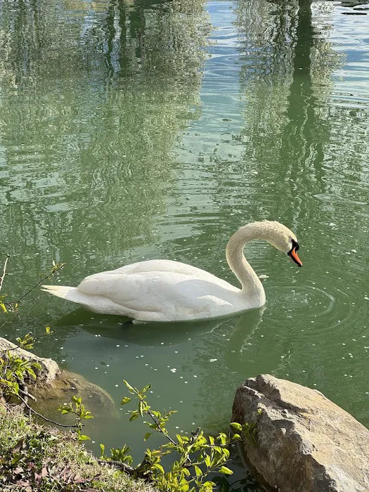 Around Pond RV Park Picture 6