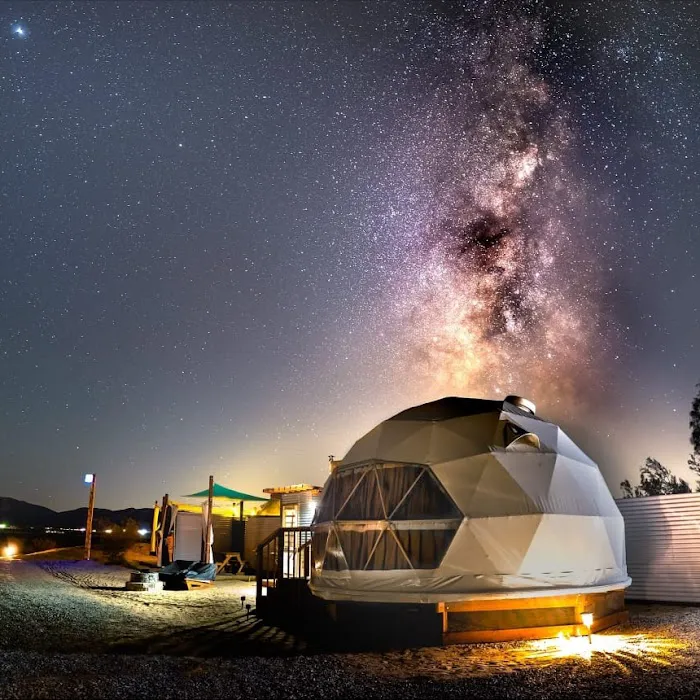 The Kosmic Tortoise Picture 7