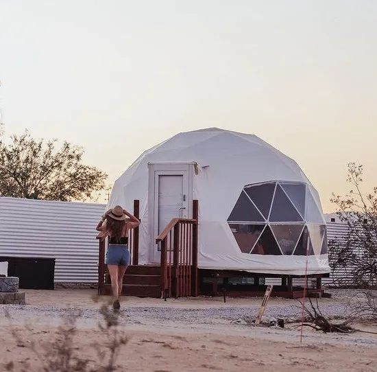 The Kosmic Tortoise Picture 1