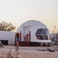 The Kosmic Tortoise ico