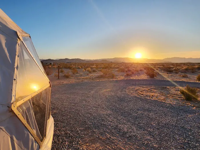 The Kosmic Tortoise Picture 4