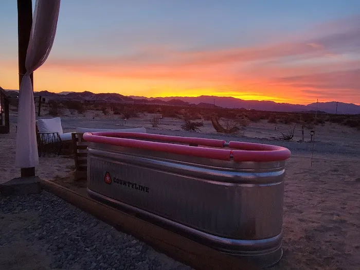 The Kosmic Tortoise Picture 6