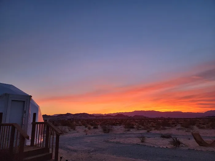 The Kosmic Tortoise Picture 10