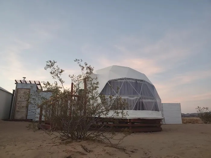 The Kosmic Tortoise Picture 5