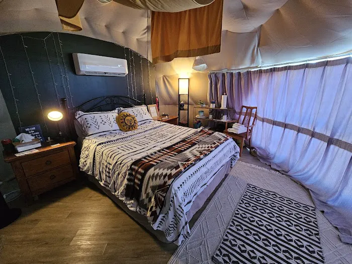 The Kosmic Tortoise Picture 2