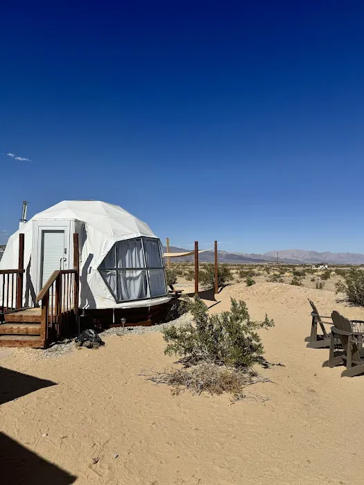 The Kosmic Tortoise Picture 3