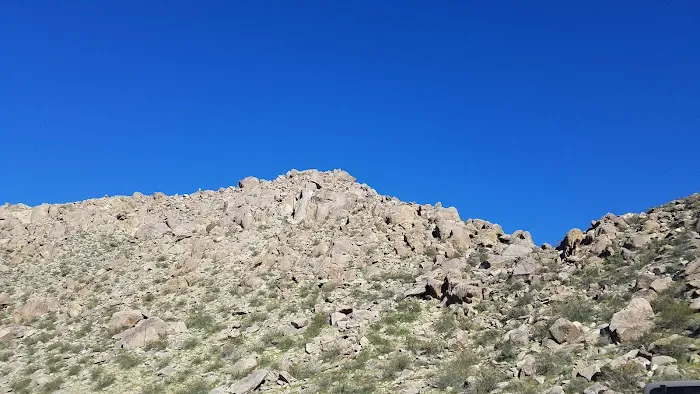 Blair Valley Campground Picture 8