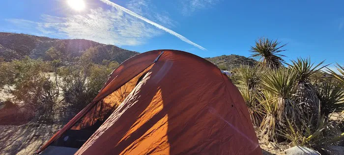 Blair Valley Campground Picture 4