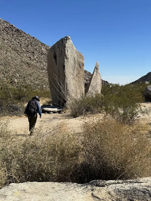 Blair Valley Campground Picture 9