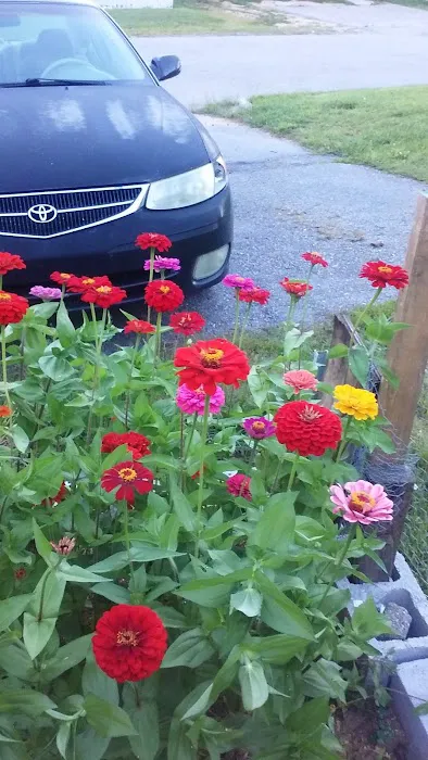 North View Park Picture 7