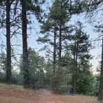 El Prado Group Campground - Whitehorn