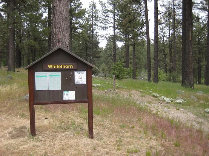 El Prado Group Campground - Whitehorn Picture 2