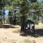 El Prado Group Campground - Manzanita