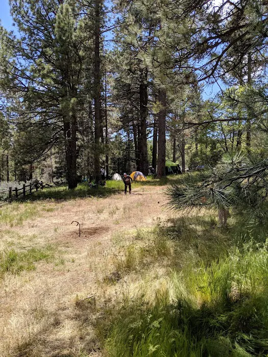 El Prado Group Campground - Big Sage Picture 7