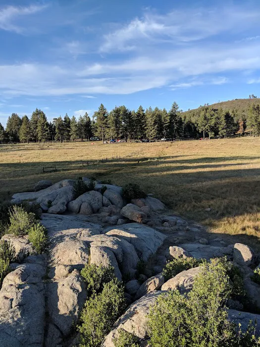 El Prado Group Campground - Big Sage Picture 10