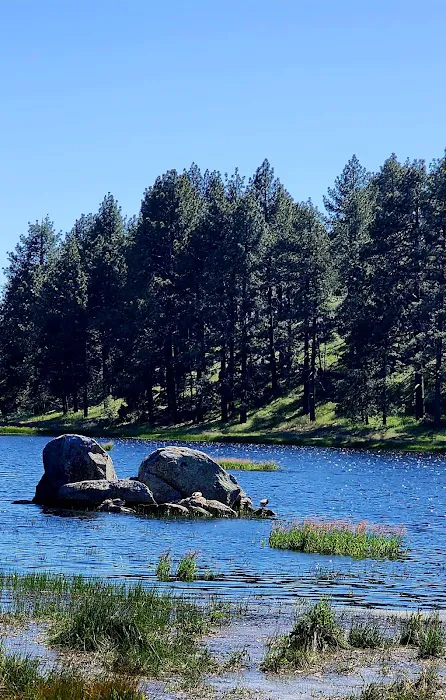 El Prado Group Campground - Big Sage Picture 6